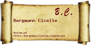 Bergmann Cicelle névjegykártya
